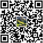 报名咨询电话：13133825269
